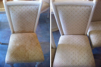 dining room chair cleaning ny
