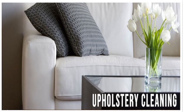 We Clean Upholstery Only Nothing Else First Nyc Company That